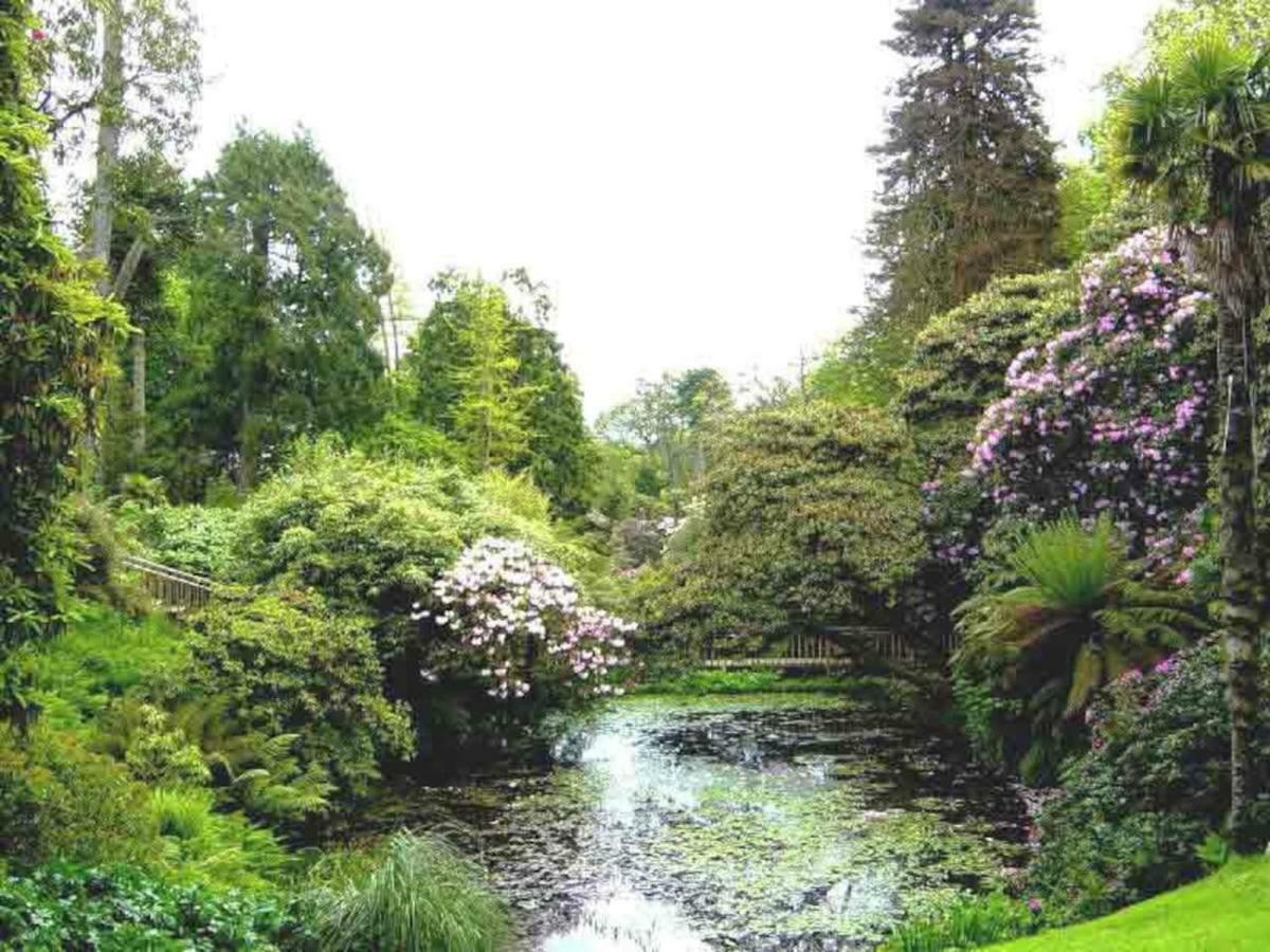 The Glen Daire Par Dış mekan fotoğraf